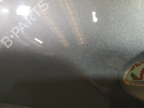 Left front door MERCEDES-BENZ A-CLASS (W169) A 180 CDI (169.007, 169.307) | BP20751897C2 
