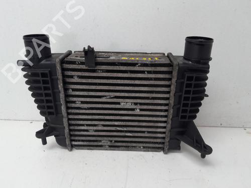 Intercooler RENAULT CLIO III (BR0/1, CR0/1) | BP29634807M30