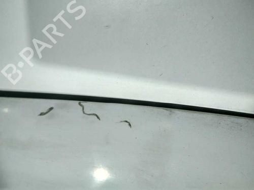 Right front door OPEL VIVARO A Bus (X83)  | BP20810530C3 