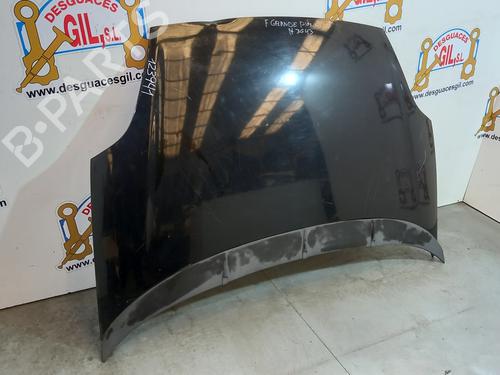 Hood FIAT GRANDE PUNTO (199_) 1.4 (199AXB11, 199AXB1A, 199BXB1A, 199AXL1A) | BP20745162C1 