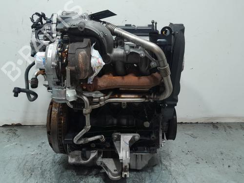 Engine RENAULT MEGANE II Saloon (LM0/1_)  | BP31612300M1  - Image 6