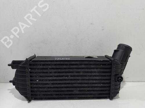 Intercooler PEUGEOT RCZ 2.0 HDi (163 hp) 21521280