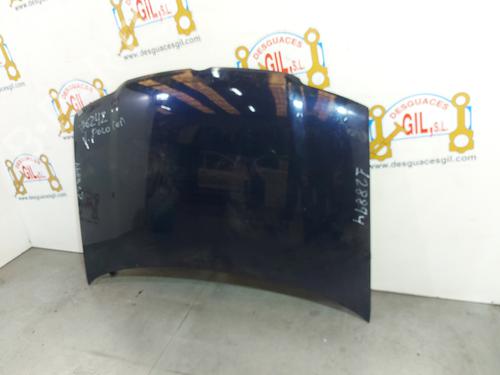 Hood VW POLO (6N2)  | BP20747683C1 