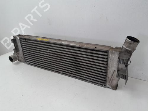 Intercooler RENAULT MEGANE II Saloon (LM0/1_)  | BP29634811M30 