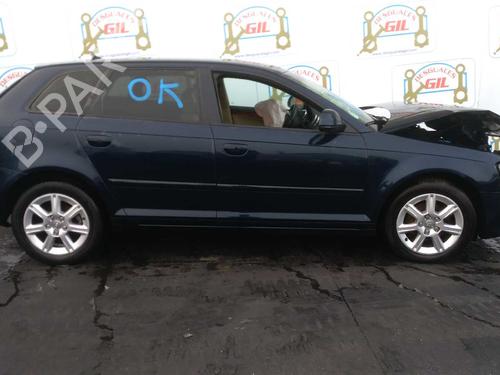 Tailgate AUDI A3 Sportback (8PA) 1.9 TDI | BP20802640C6 