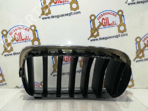 Grille BMW X5 (F15, F85) xDrive 40 d | BP20808480C40 
