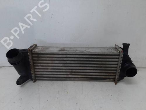 Used Intercooler Intercooler RENAULT KANGOO / GRAND KANGOO II (KW0/1_) 1.5 dCi 90 (KW05, KW08, KW0G, KW11) (90 hp) 39693060 39693060