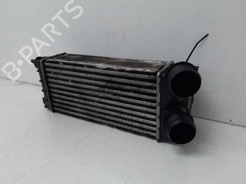 Intercooler CITROËN BERLINGO Box Body/MPV (B9) | BP34131623M30 - Image 3