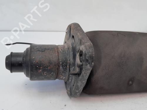 Right rear shock absorber AUDI ALLROAD C5 (4BH) 2.5 TDI quattro | BP29937673M19