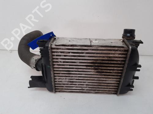 Intercooler DACIA DOKKER MPV (KE_)  | BP27513213M30 
