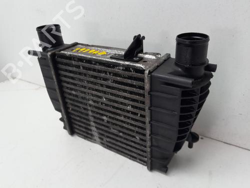 Intercooler RENAULT CLIO III (BR0/1, CR0/1) | BP29634807M30