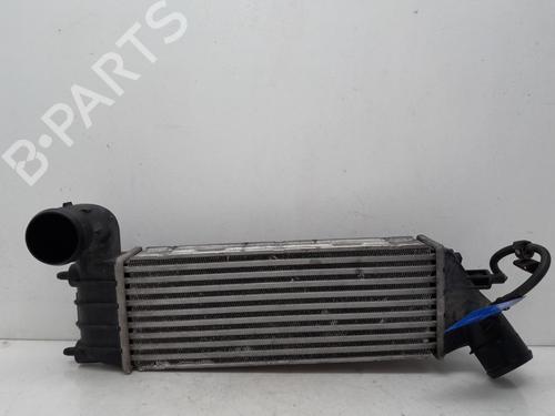 Intercooler CITROËN C8 (EA_, EB_) 2.2 HDi | BP24552637M30 