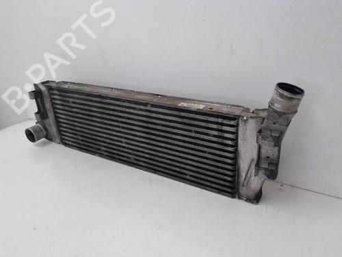 Intercooler RENAULT MEGANE II (BM0/1_, CM0/1_)  | BP29634815M30