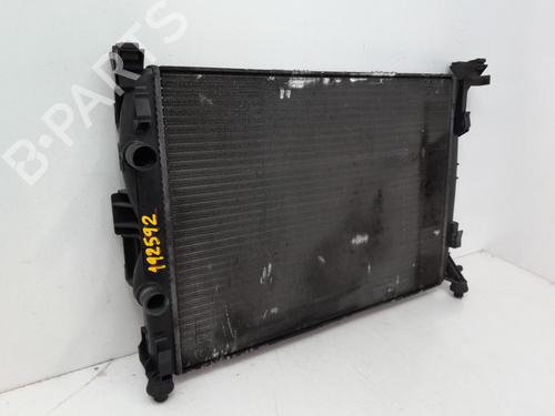 Water radiator RENAULT MEGANE II Saloon (LM0/1_) 1.9 dCi (LM0G, LM1G, LM2C) | BP29573303M31 
