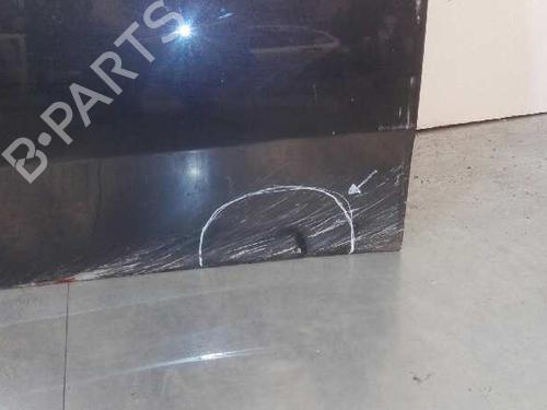 Left front door FIAT GRANDE PUNTO (199_)  | BP20798507C2 