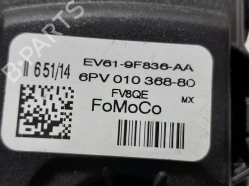 Pedal FORD FOCUS III 1.5 TDCi | BP20766016I4 