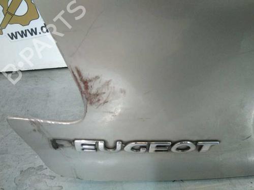 Tailgate PEUGEOT 206 Hatchback (2A/C) 2.0 HDI 90 | BP20733409C6 