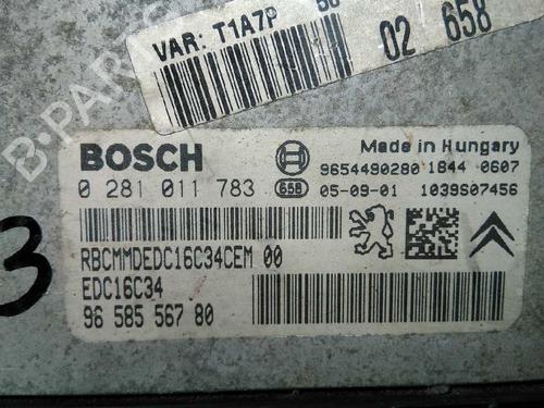 Engine control unit (ECU) PEUGEOT 206 Hatchback (2A/C)  | BP20795449M57 