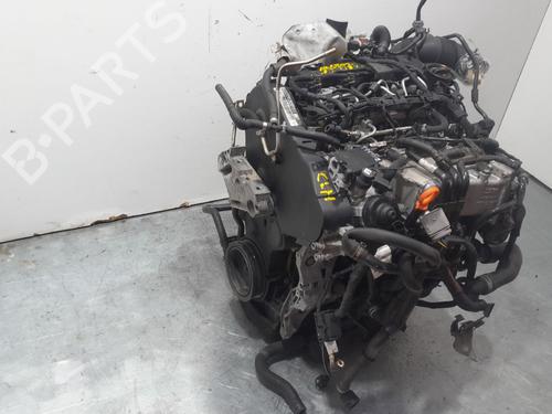 Engine VW GOLF VII (5G1, BQ1, BE1, BE2)  | BP29534097M1 