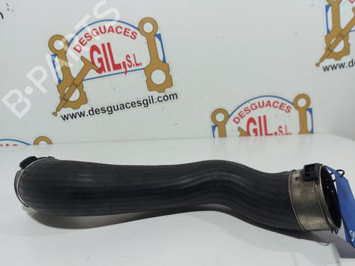 Pipe MERCEDES-BENZ E-CLASS (W212) E 220 CDI / BlueTEC (212.001, 212.002) | BP20744751M125 