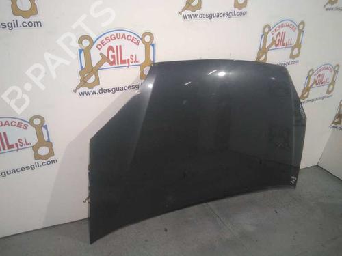 Hood FORD FOCUS C-MAX (DM2)  | BP20735498C1 
