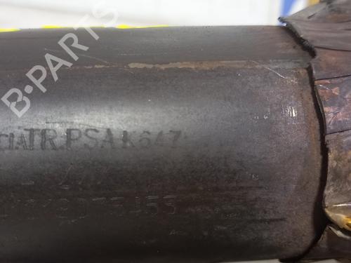 Catalyst PEUGEOT 208 I (CA_, CC_) 1.2 VTI 82 | BP20764822M10 