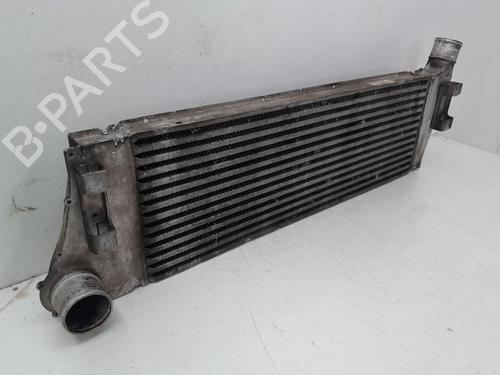 Intercooler RENAULT MEGANE II (BM0/1_, CM0/1_)  | BP29634815M30