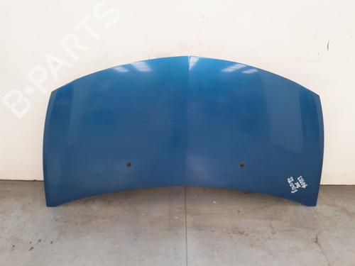 Used Hood Hood RENAULT CLIO III (BR0/1, CR0/1) [2005-2014] 34131001 34131001