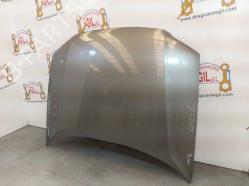 Hood VW PASSAT B5.5 (3B3) 1.9 TDI | BP20745979C1 
