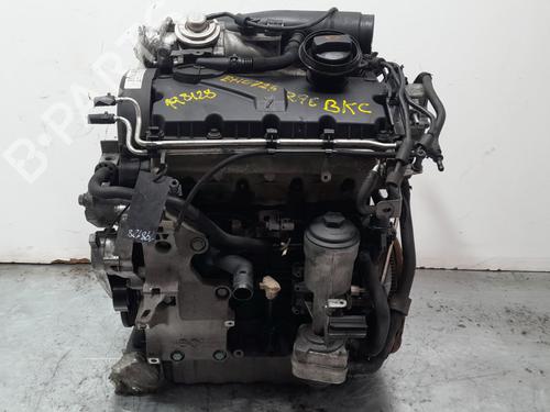 Used Engine VW GOLF V (1K1) [2003-2010]  30202134