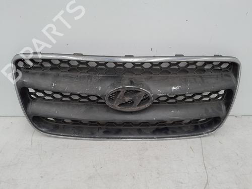 Used Grille HYUNDAI SANTA FÉ II (CM) 2.2 CRDi GLS (150 hp) 30909125