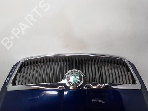 Hood SKODA OCTAVIA II (1Z3)  | BP25003695C1