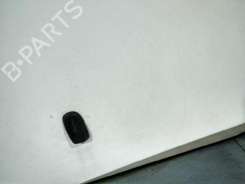 Hood FORD FOCUS I (DAW, DBW) 1.8 TDCi | BP20731169C1 