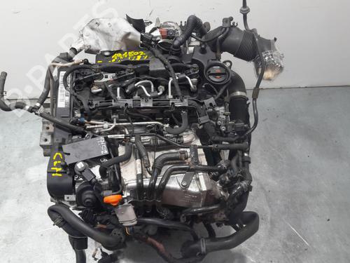 Engine VW GOLF VII (5G1, BQ1, BE1, BE2)  | BP29534097M1 