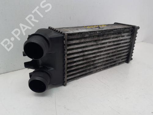 Intercooler CITROËN XSARA PICASSO (N68) 1.6 HDi | BP29636271M30 