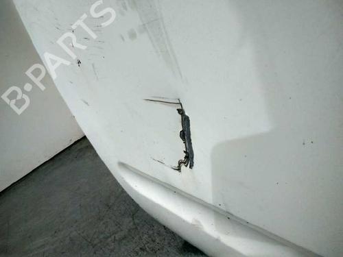 Left front door NISSAN PATHFINDER III (R51) 2.5 dCi | BP20729041C2 