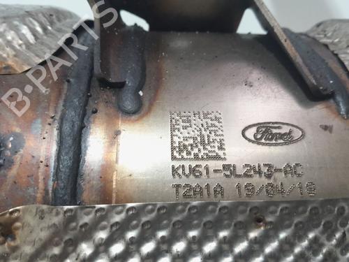 Particulate filter FORD TRANSIT CONNECT MPV | BP29906495M81