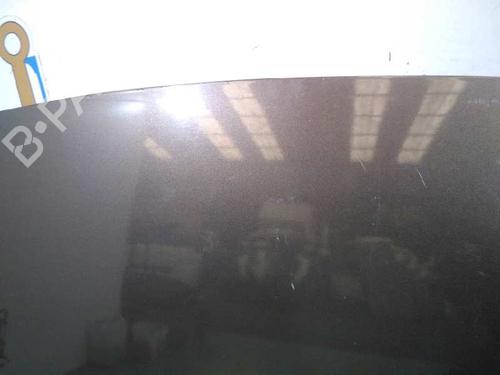 Hood RENAULT SCÉNIC III (JZ0/1_)  | BP20728661C1 