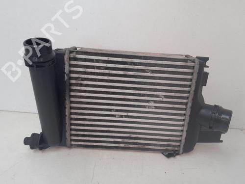 Used Intercooler DACIA SANDERO II [2012-2025]  31062579
