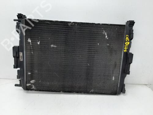 water-radiator-renault-megane-ii-saloon-lm01_-2003-34131600 main image