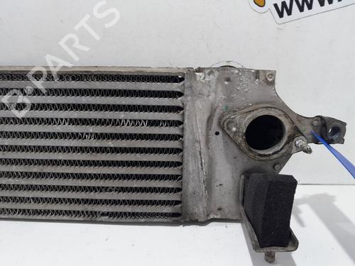 Intercooler RENAULT KOLEOS I (HY_) 2.0 dCi 4x4 (HY0K) | BP20771968M30 