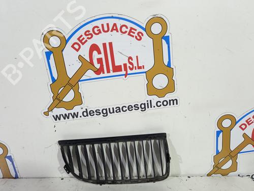 Grille BMW 3 (E90) 318 d | BP20740602C40 