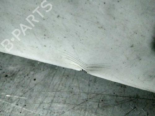 Hood PEUGEOT EXPERT (224_) 1.9 D | BP20730114C1 