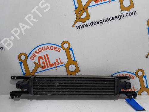 Intercooler OPEL CORSA D (S07) [2006-2015]  21059107