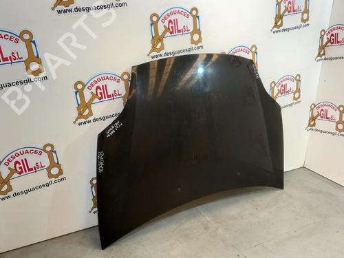 Hood FIAT BRAVO II (198_) 1.9 D Multijet (198AXC1B) | BP20809736C1 