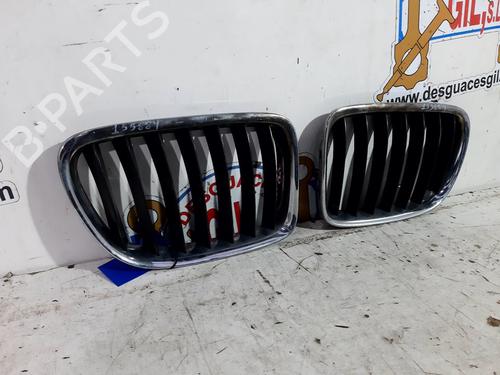 Grille BMW X1 (E84) xDrive 18 d | BP20764054C40