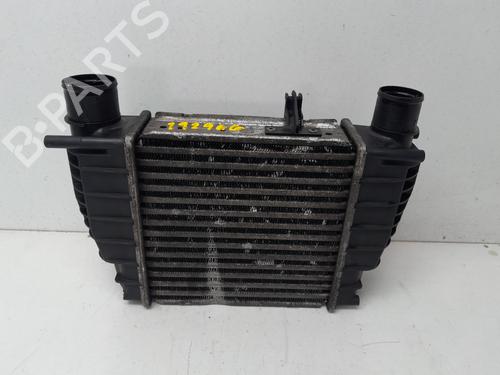 Used Intercooler RENAULT CLIO III (BR0/1, CR0/1) [2005-2014]  29634807