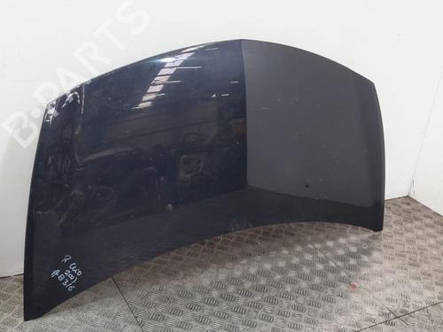 Hood RENAULT CLIO III (BR0/1, CR0/1)  | BP24649870C1 