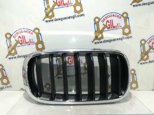 Used Grille BMW X5 (F15, F85) xDrive 40 d (313 hp) 20808480