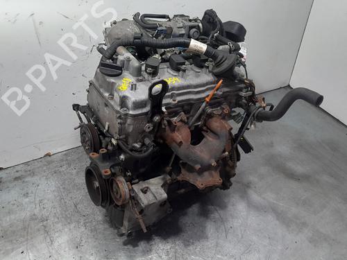 Engine NISSAN ALMERA TINO (V10)  | BP29539294M1 